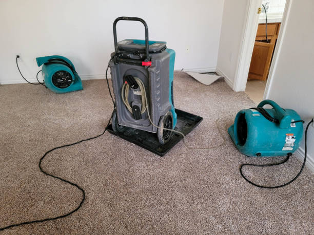 Water damage restoration experts in ME