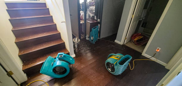 Best Water damage restoration near me  in South Eliot, ME