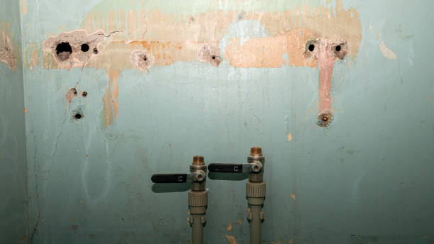 Best Water damage repair service  in South Eliot, ME