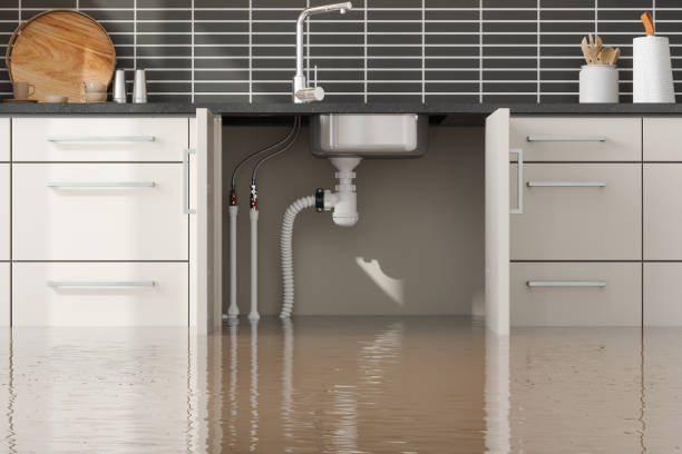 Best Professional water damage repair  in South Eliot, ME