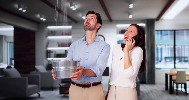 Best Fire Damage Restoration  in South Eliot, ME