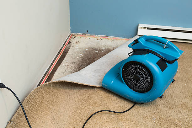 Best Basement water damage restoration  in South Eliot, ME